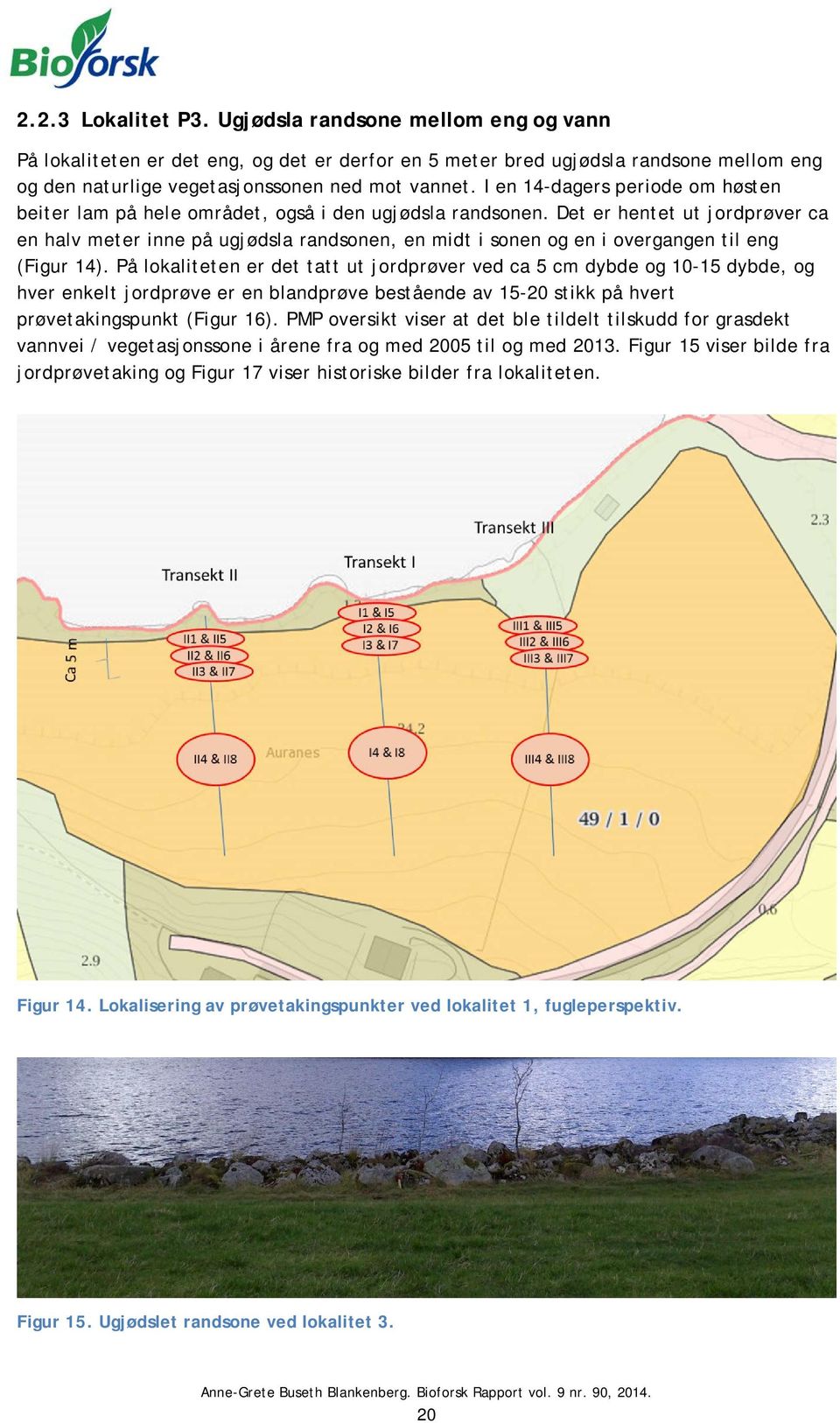 Det er hentet ut jordprøver ca en halv meter inne på ugjødsla randsonen, en midt i sonen og en i overgangen til eng (Figur 14).