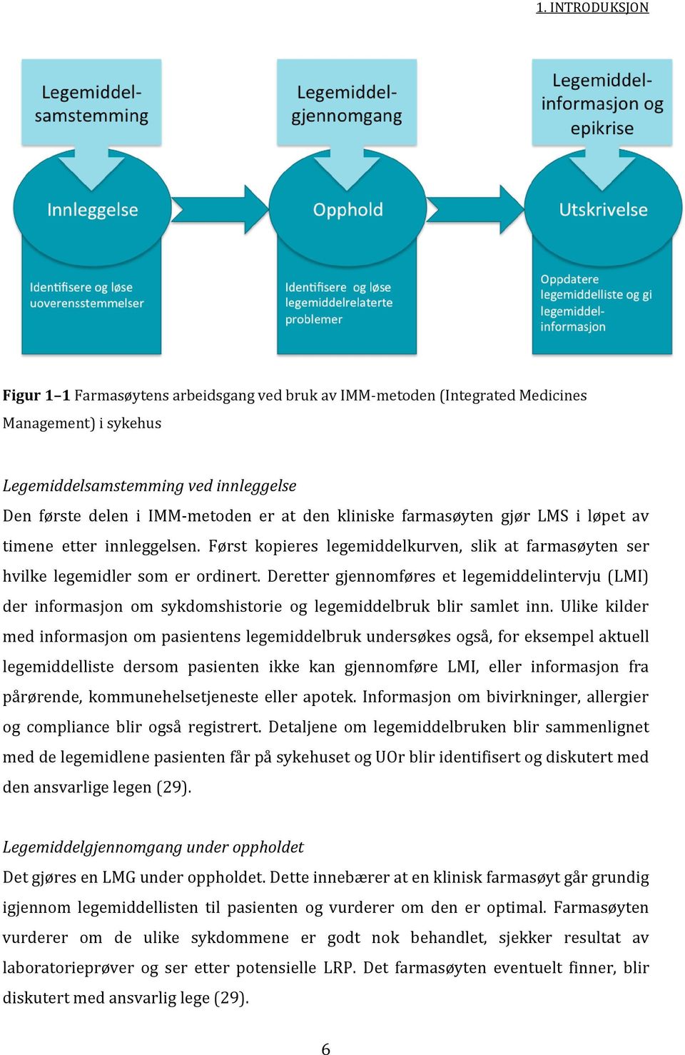 Deretter gjennomføres et legemiddelintervju (LMI) der informasjon om sykdomshistorie og legemiddelbruk blir samlet inn.