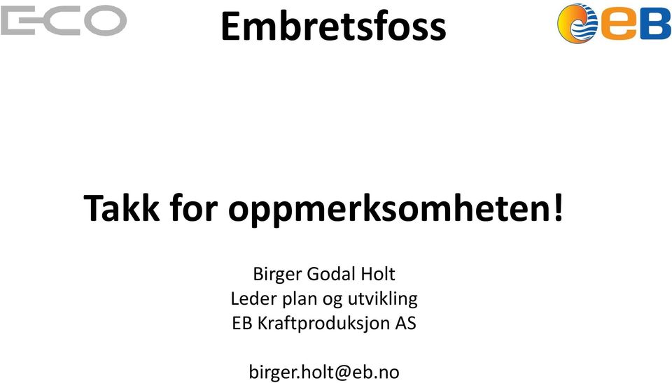 Birger Godal Holt Leder plan