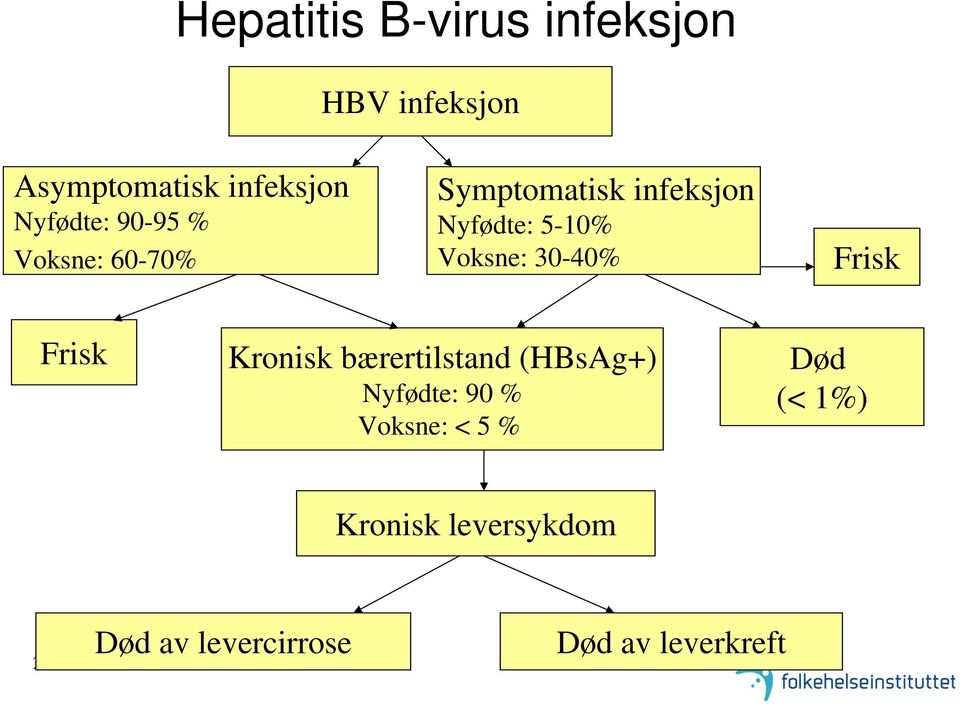 Voksne: 30-40% Frisk Frisk Kronisk bærertilstand (HBsAg+) Nyfødte: 90 %