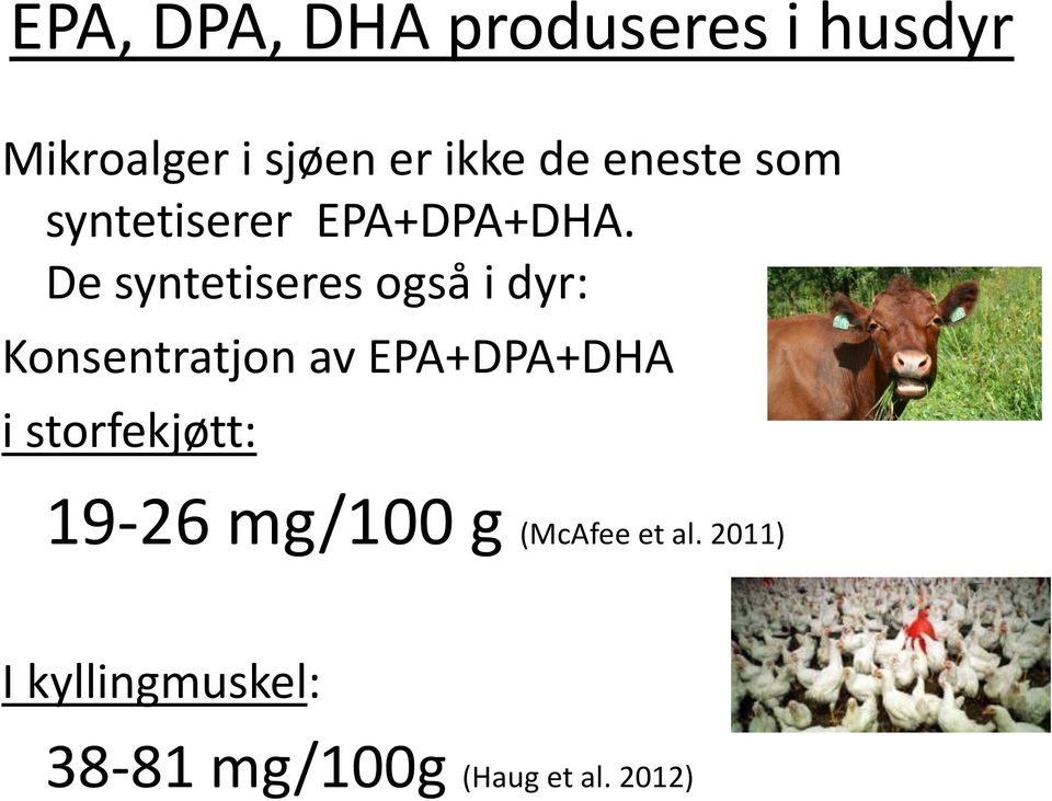 De syntetiseres også i dyr: Konsentratjon av EPA+DPA+DHA i