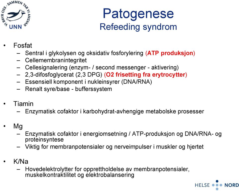 Tiamin Enzymatisk cofaktor i karbohydrat-avhengige metabolske prosesser Mg Enzymatisk cofaktor i energiomsetning / ATP-produksjon og DNA/RNA- og proteinsyntese