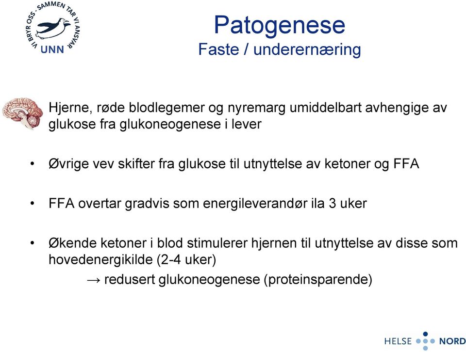 FFA FFA overtar gradvis som energileverandør ila 3 uker Økende ketoner i blod stimulerer