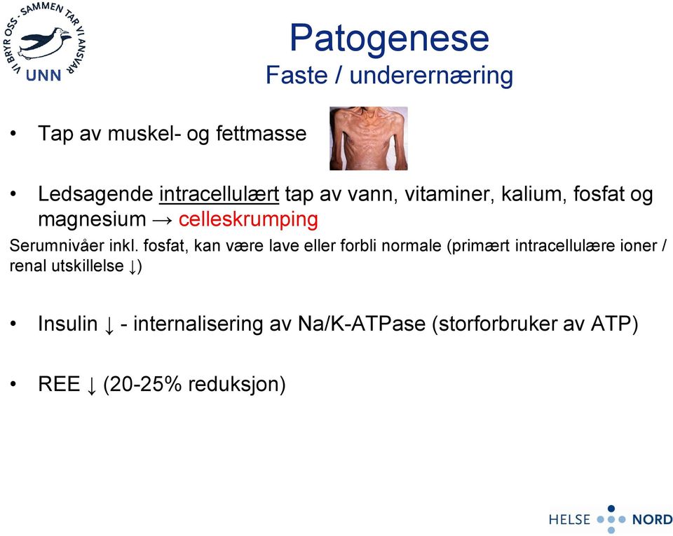 fosfat, kan være lave eller forbli normale (primært intracellulære ioner / renal