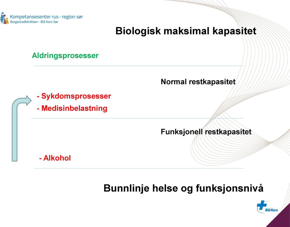 Sykdomsprosesser - Medisinbelastning