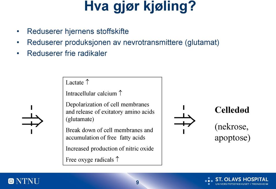 frie radikaler Lactate Intracellular calcium Depolarization of cell membranes and release of