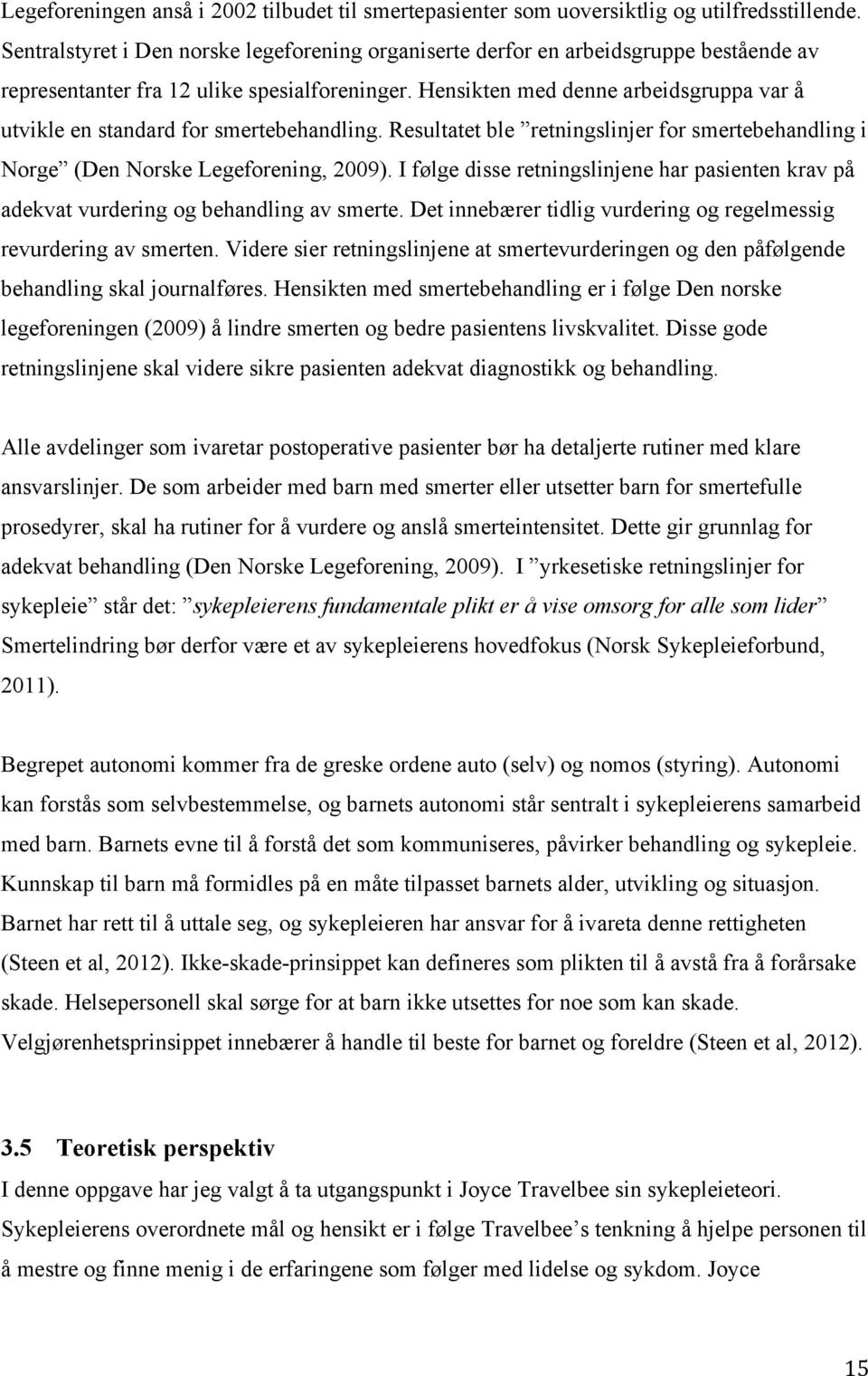 Hensikten med denne arbeidsgruppa var å utvikle en standard for smertebehandling. Resultatet ble retningslinjer for smertebehandling i Norge (Den Norske Legeforening, 2009).