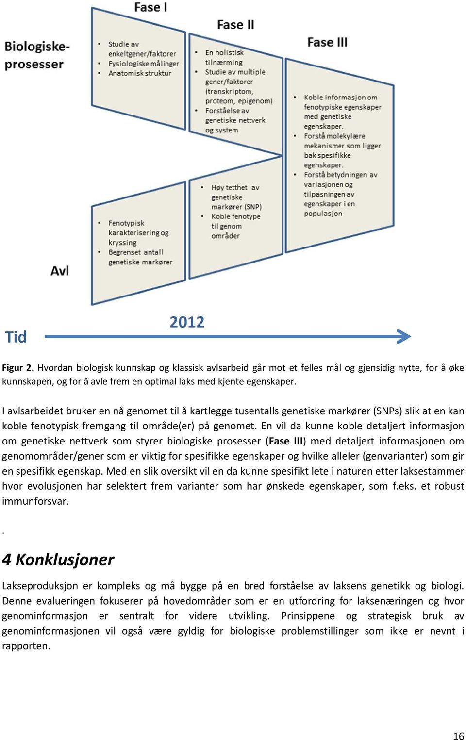 En vil da kunne koble detaljert informasjon om genetiske nettverk som styrer biologiske prosesser (Fase III) med detaljert informasjonen om genomområder/gener som er viktig for spesifikke egenskaper