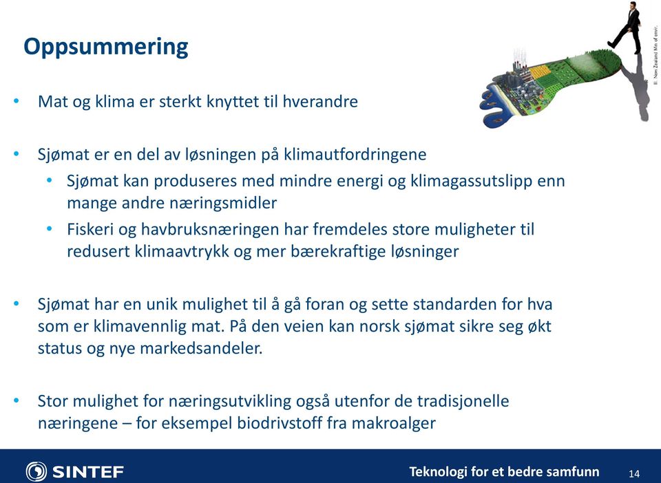 bærekraftige løsninger Sjømat har en unik mulighet til å gå foran og sette standarden for hva som er klimavennlig mat.