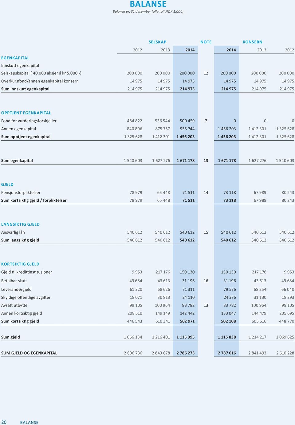 975 214 975 OPPTJENT EGENKAPITAL Fond for vurderingsforskjeller 484 822 536 544 500 459 7 0 0 0 Annen egenkapital 840 806 875 757 955 744 1 456 203 1 412 301 1 325 628 Sum opptjent egenkapital 1 325