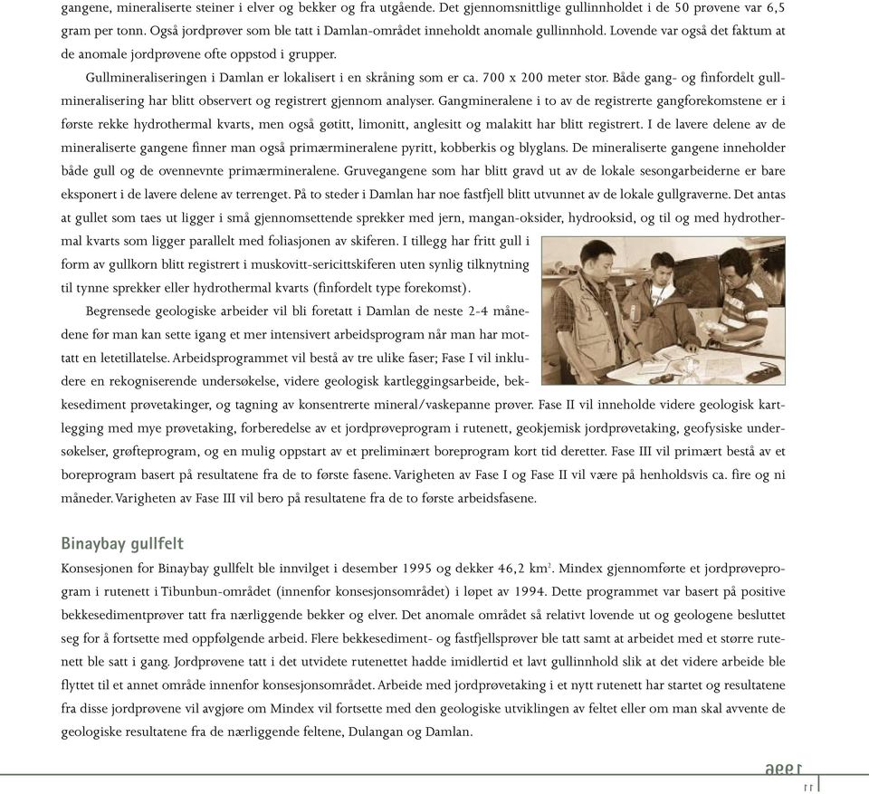 Gullmineraliseringen i Damlan er lokalisert i en skråning som er ca. 700 x 200 meter stor. Både gang- og finfordelt gullmineralisering har blitt observert og registrert gjennom analyser.