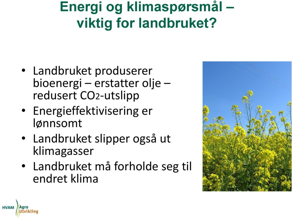 CO2-utslipp Energieffektivisering er lønnsomt Landbruket