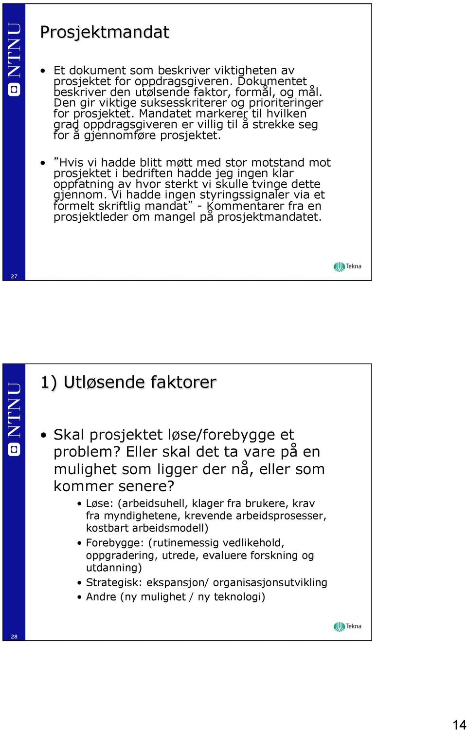 Hvis vi hadde blitt møtt med stor motstand mot prosjektet i bedriften hadde jeg ingen klar oppfatning av hvor sterkt vi skulle tvinge dette gjennom.