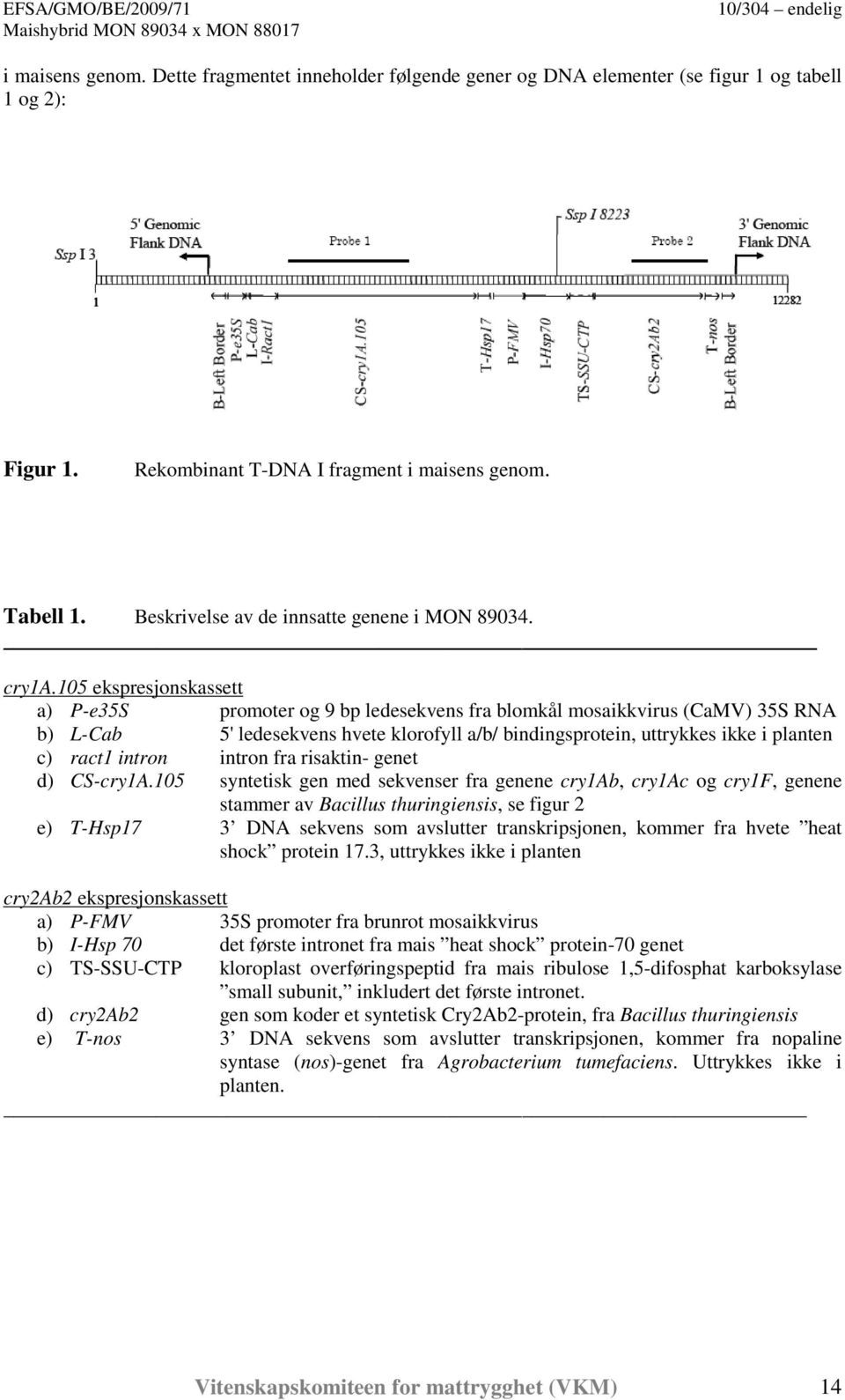 105 ekspresjonskassett a) P-e35S promoter og 9 bp ledesekvens fra blomkål mosaikkvirus (CaMV) 35S RNA b) L-Cab 5' ledesekvens hvete klorofyll a/b/ bindingsprotein, uttrykkes ikke i planten c) ract1