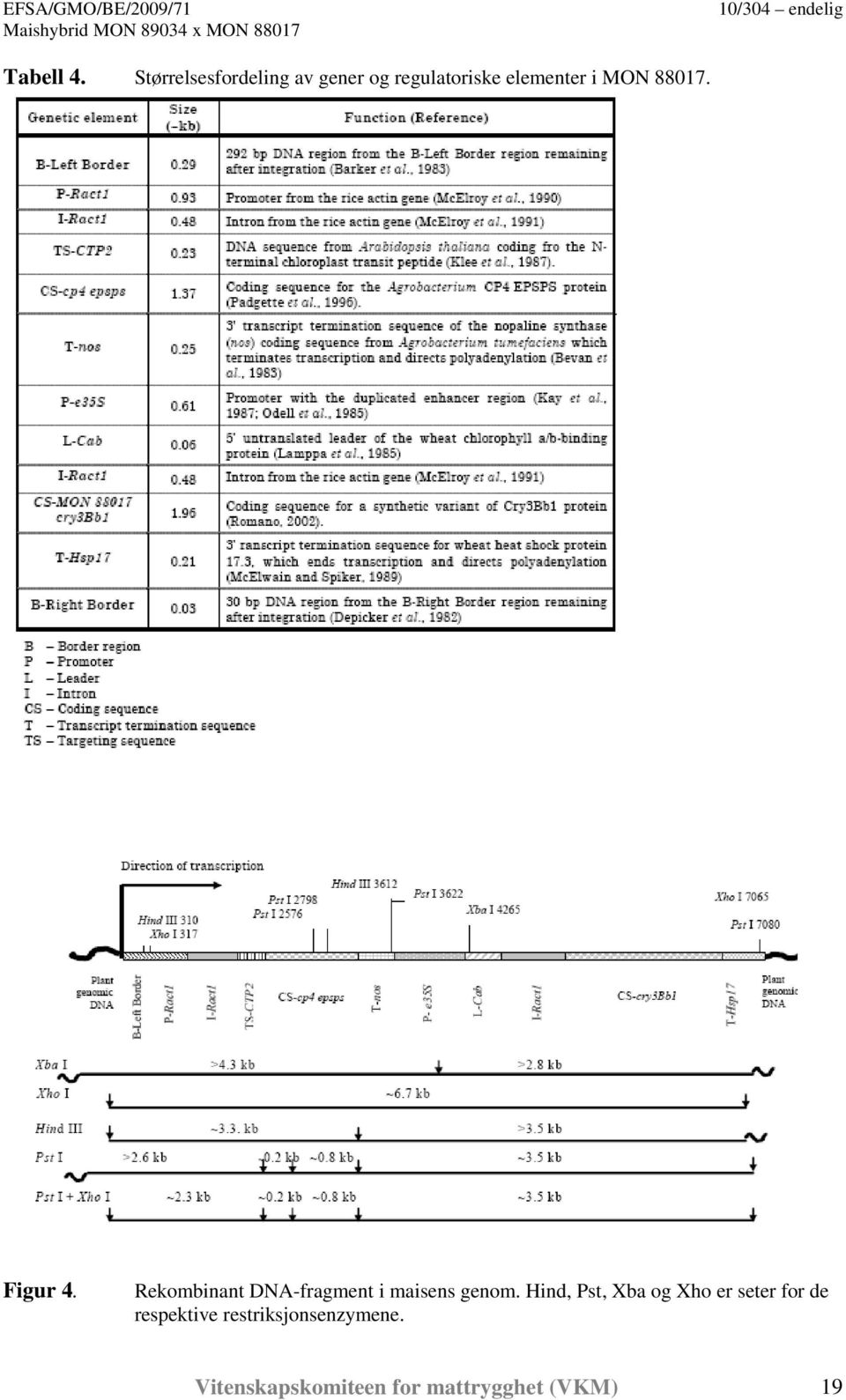 MON 88017. Figur 4. Rekombinant DNA-fragment i maisens genom.