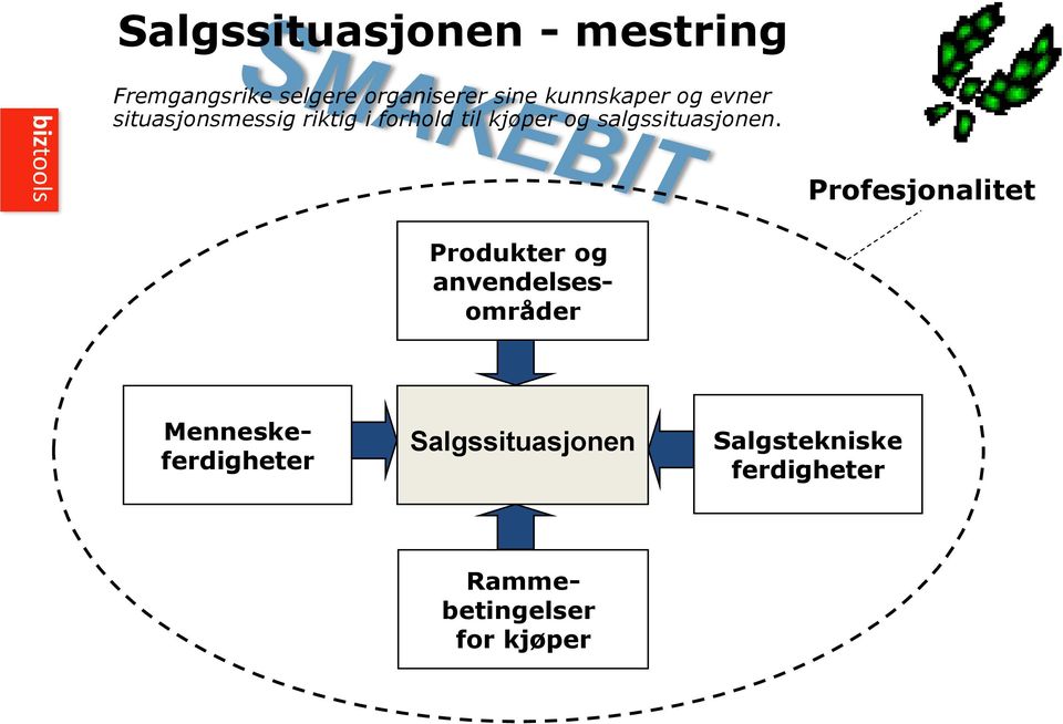 salgssituasjonen.