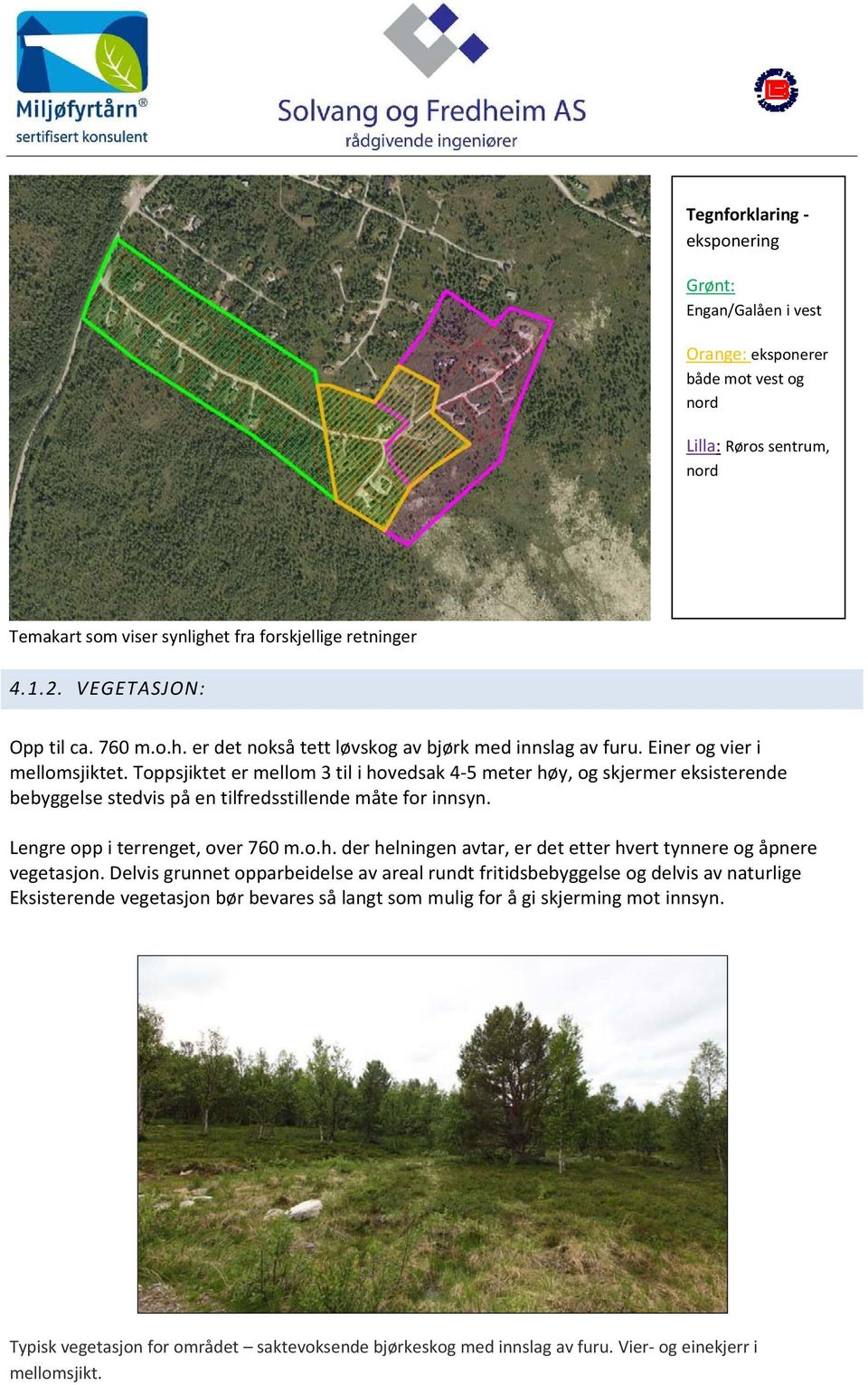 Toppsjiktet er mellom 3 til i hovedsak 4 5 meter høy, og skjermer eksisterende bebyggelse stedvis på en tilfredsstillende måte for innsyn. Lengre opp i terrenget, over 760 m.o.h. der helningen avtar, er det etter hvert tynnere og åpnere vegetasjon.