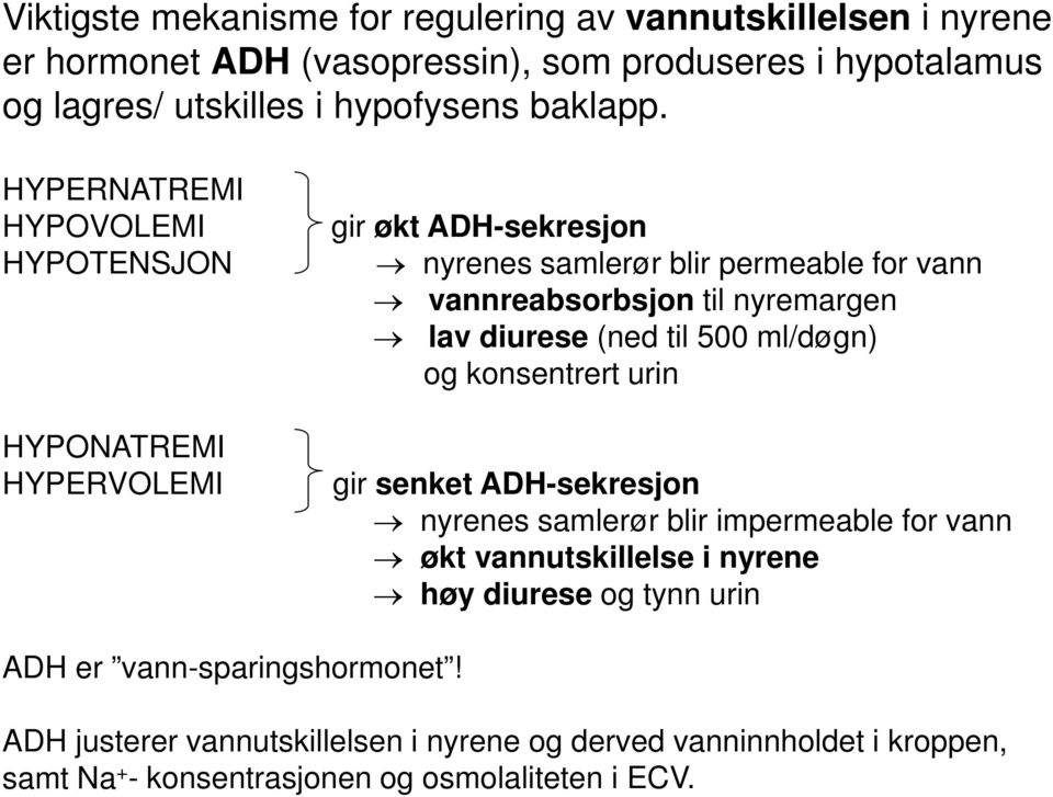 HYPERNATREMI HYPOVOLEMI HYPOTENSJON gir økt ADH-sekresjon nyrenes samlerør blir permeable for vann vannreabsorbsjon til nyremargen lav diurese (ned til 500