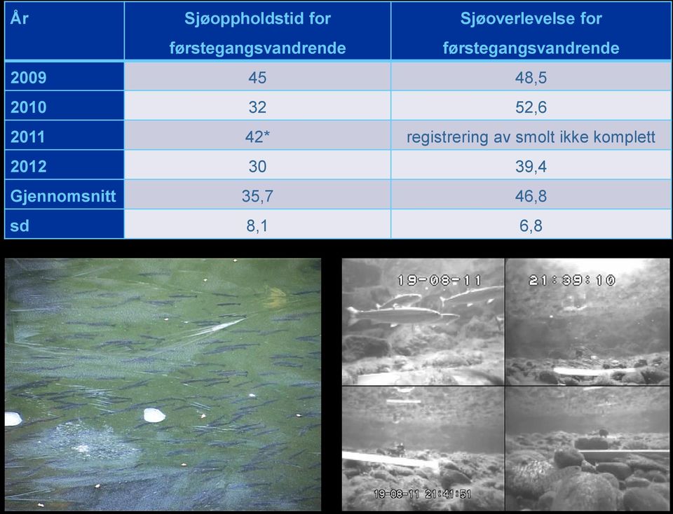 48,5 2010 32 52,6 2011 42* registrering av smolt