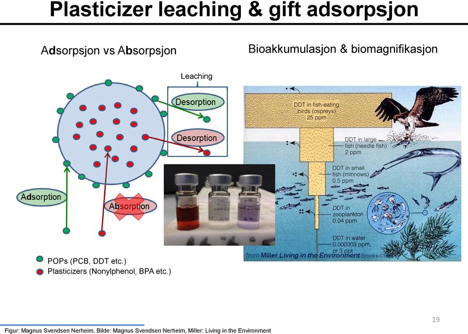 ) Plasticizers (Nonylphenol, BPA etc.