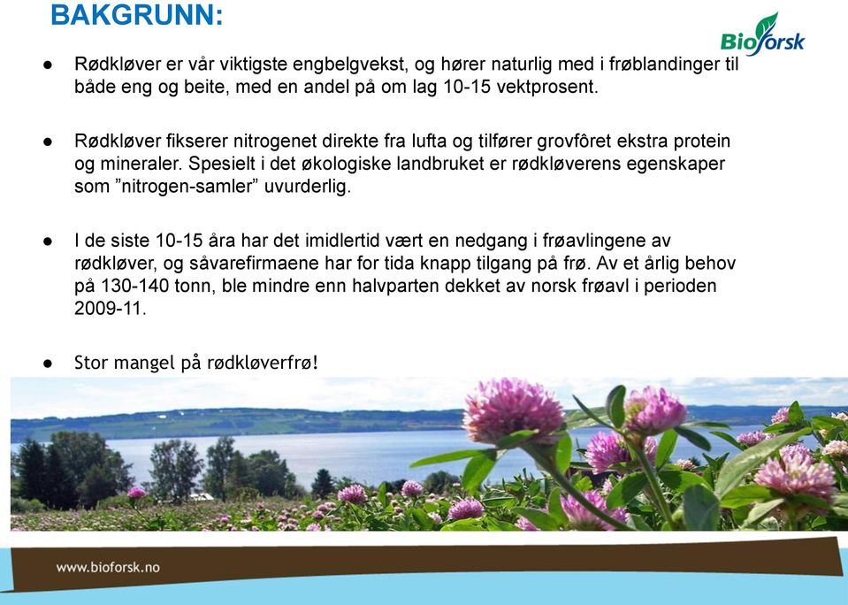 Spesielt i det økologiske landbruket er rødkløverens egenskaper som nitrogen-samler uvurderlig.