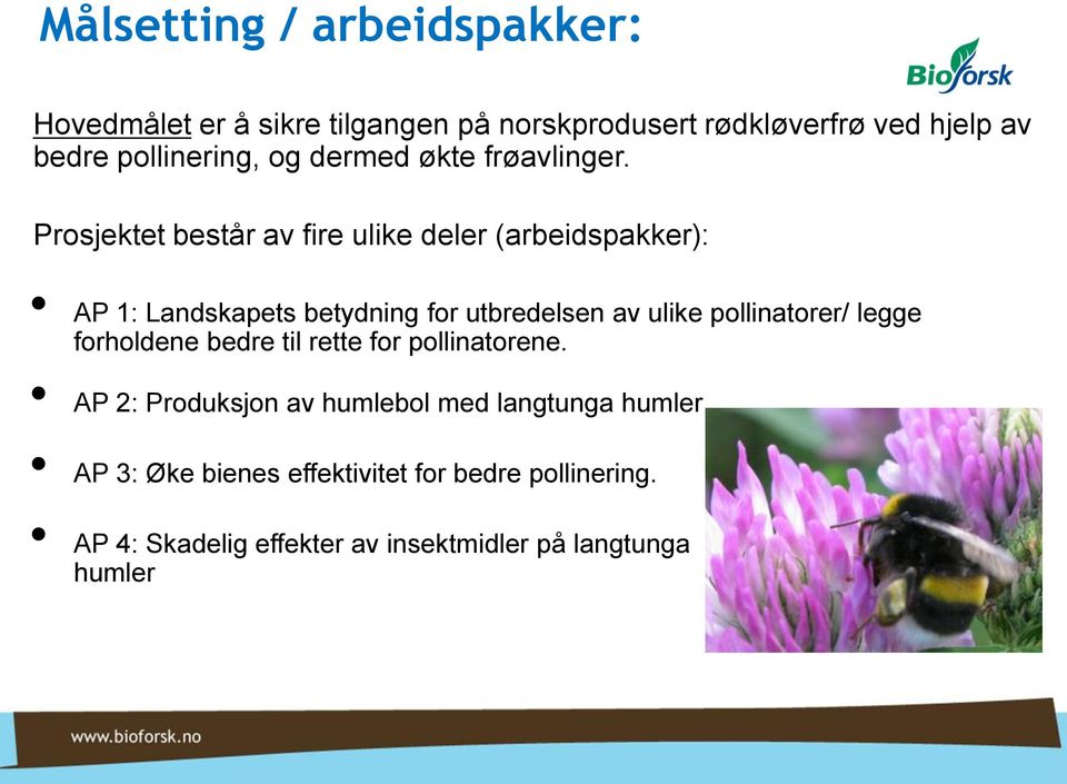 Prosjektet består av fire ulike deler (arbeidspakker): AP 1: Landskapets betydning for utbredelsen av ulike pollinatorer/