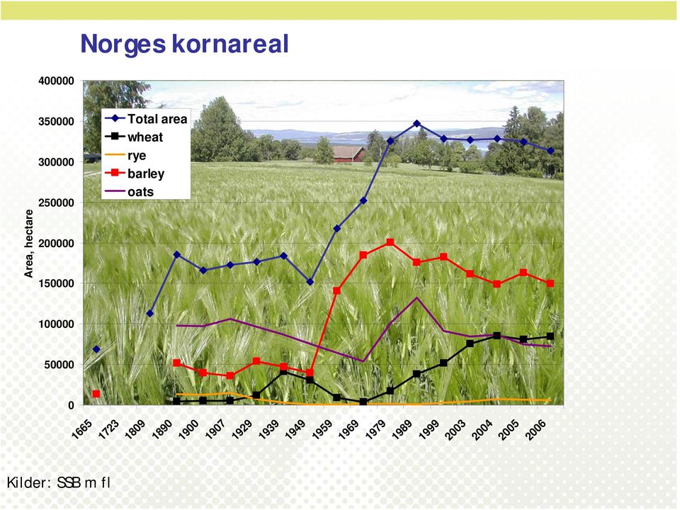 Total area wheat rye barley oats Area, hectare 100000