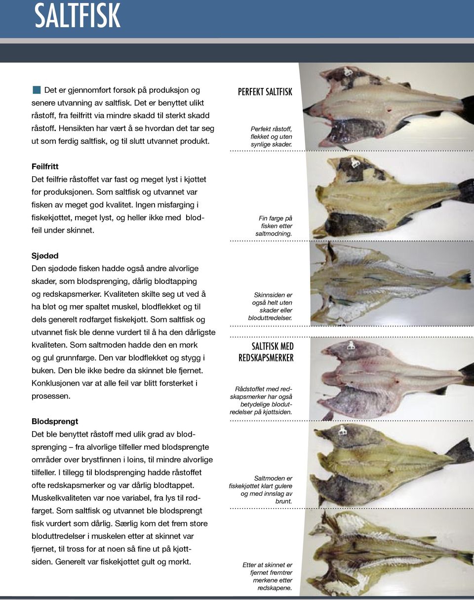 Feilfritt Det feilfrie råstoffet var fast og meget lyst i kjøttet før produksjonen. Som saltfisk og utvannet var fisken av meget god kvalitet.