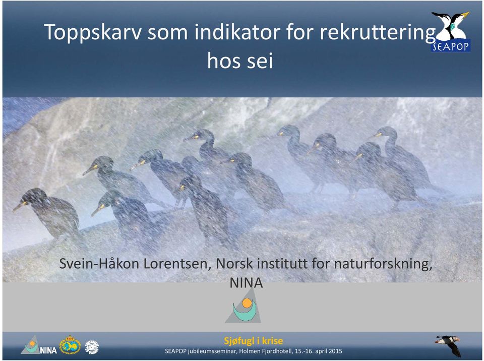 institutt for naturforskning, NINA SEAPOP