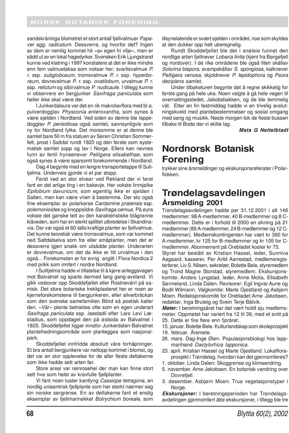 Svensken Erik Ljungstrand kunne ved klatring i 1997 konstatere at det er ikke mindre enn fem valmuetaksa som vokser her: svartisvalmue P. r. ssp. subglobosum, tromsvalmue P. r. ssp. hyperboreum, dovrevalmue P.