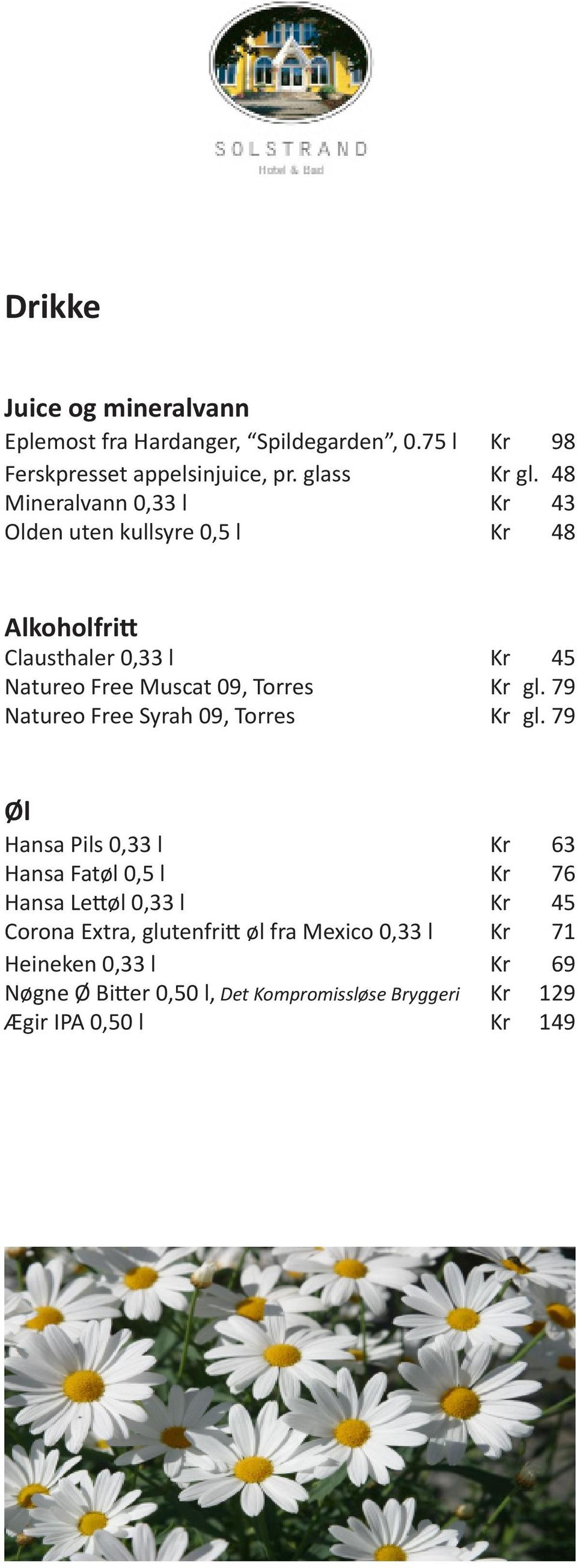 gl. 79 Natureo Free Syrah 09, Torres Kr gl.