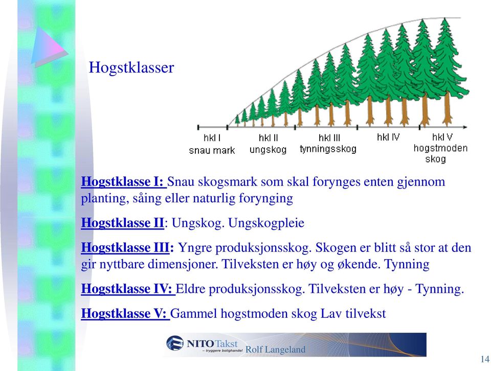 Skogen er blitt så stor at den gir nyttbare dimensjoner. Tilveksten er høy og økende.