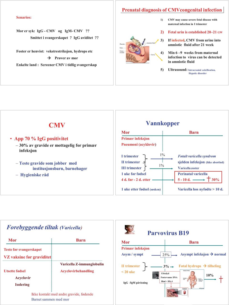 21 23 weeks gestation 1) CMV may cause severe fetal disease with maternal infection in I trimester 2) Fetal urin is established 20 21 GW 3) If infected, CMV from urine into amniotic fluid after 21
