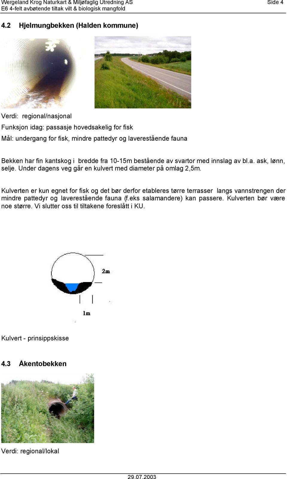 har fin kantskog i bredde fra 10-15m bestående av svartor med innslag av bl.a. ask, lønn, selje. Under dagens veg går en kulvert med diameter på omlag 2,5m.