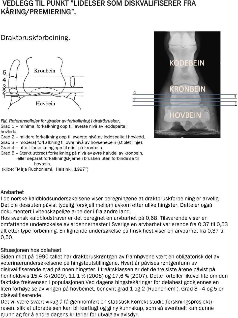 Grad 3 moderat forkalkning til øvre nivå av hovsenebein (stiplet linje). Grad 4 uttalt forkalkning opp til midt på kronbein.