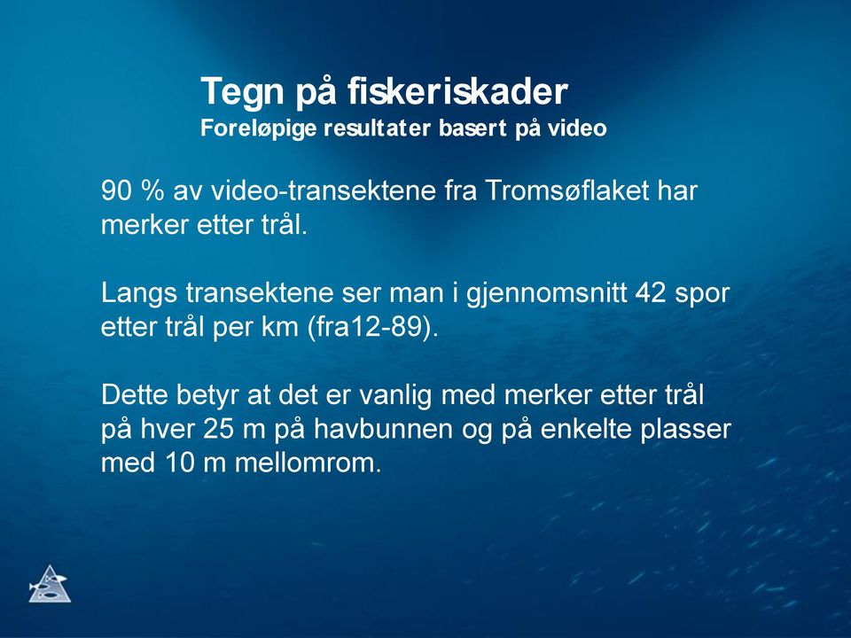 Langs transektene ser man i gjennomsnitt 42 spor etter trål per km (fra12-89).