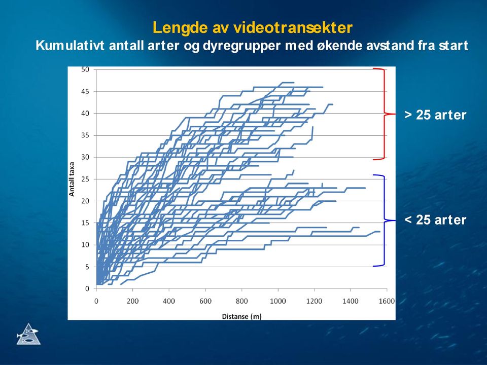 dyregrupper med økende