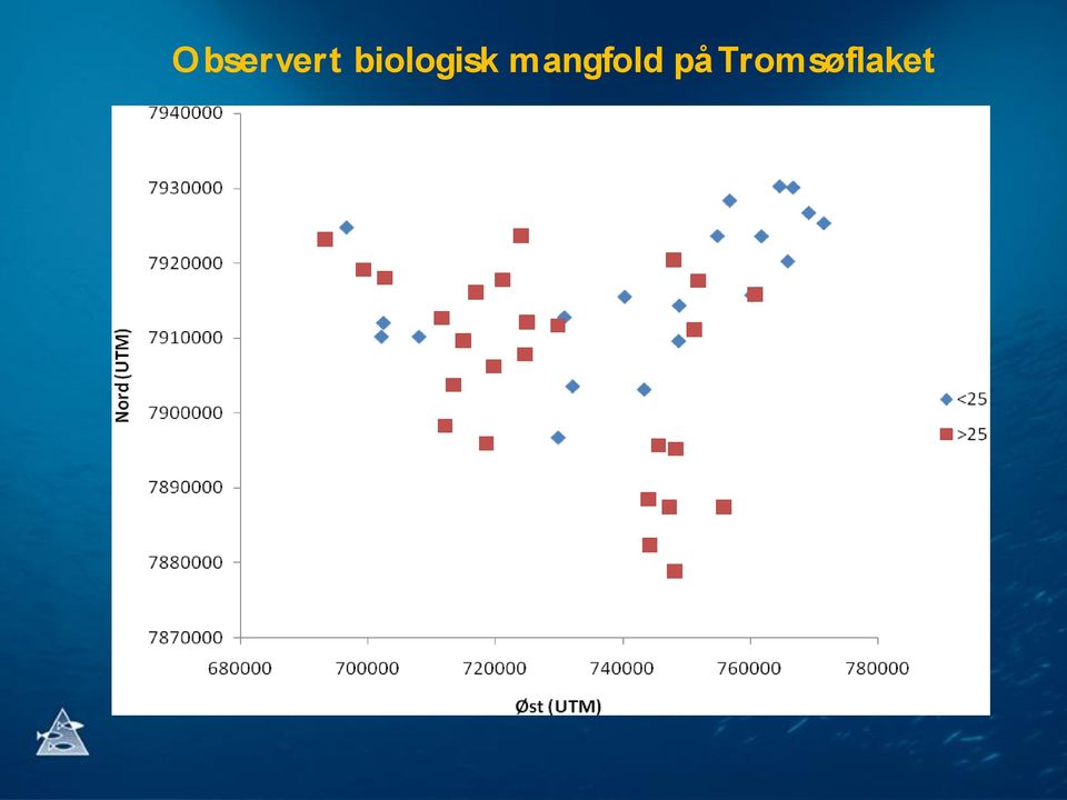 mangfold