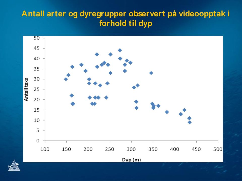 observert på