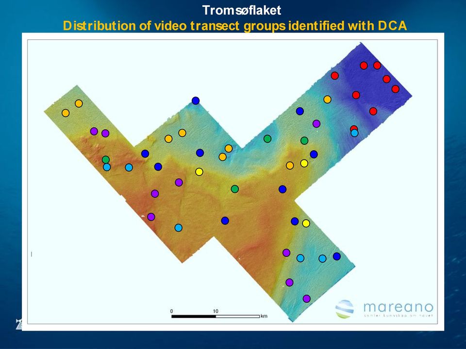 video transect