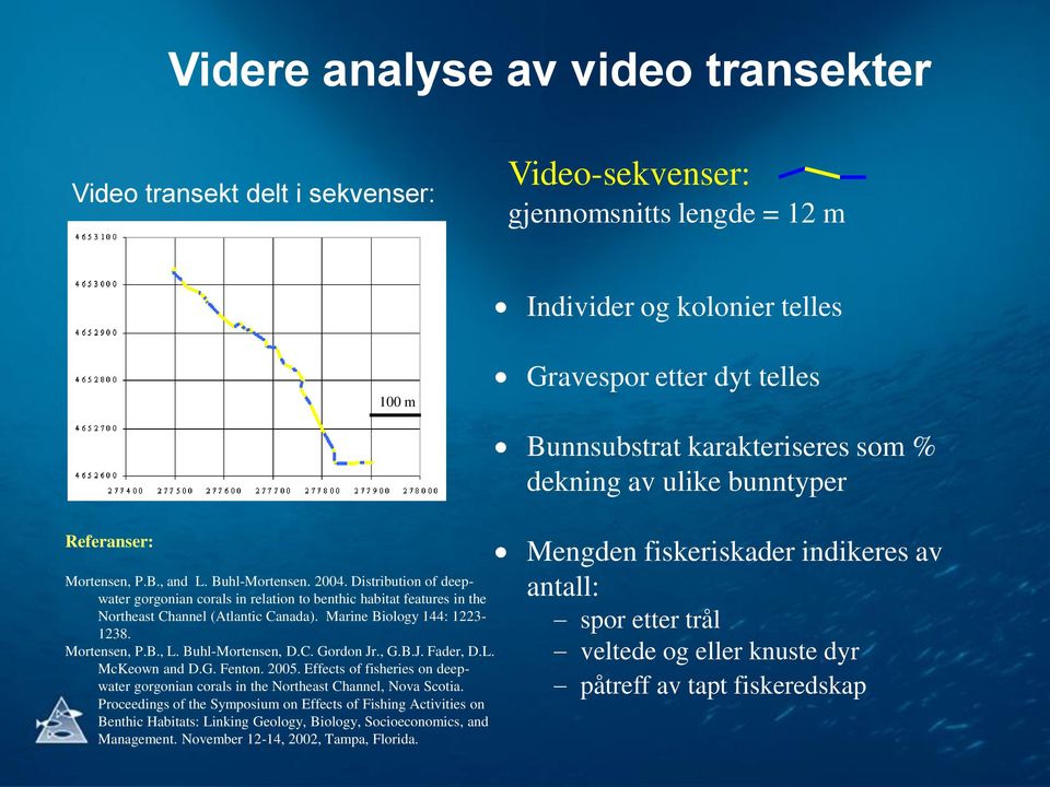 Distribution of deepwater gorgonian corals in relation to benthic habitat features in the Northeast Channel (Atlantic Canada). Marine Biology 144: 1223-1238. Mortensen, P.B., L. Buhl-Mortensen, D.C. Gordon Jr.