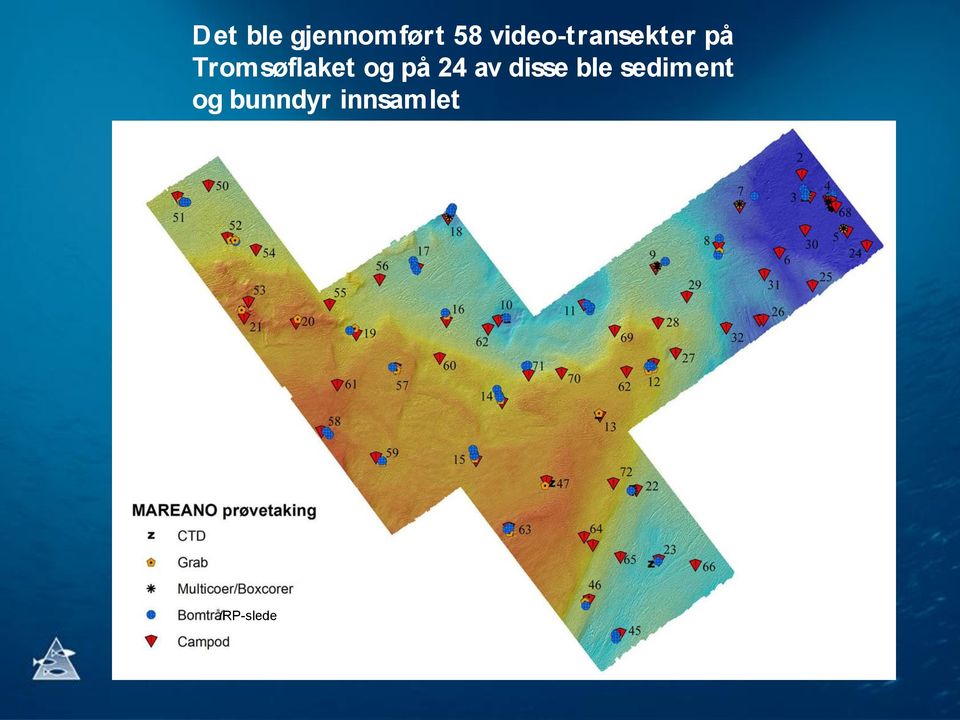 Tromsøflaket og på 24 av