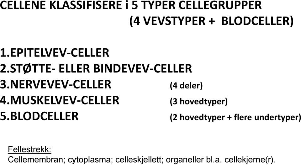 MUSKELVEV CELLER 5.