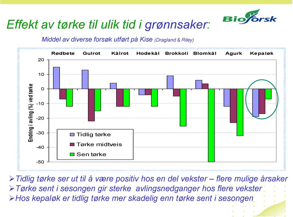 Tørke midtveis Sen tørke Tidlig tørke ser ut til å være positiv hos en del vekster flere mulige årsaker Tørke sent i