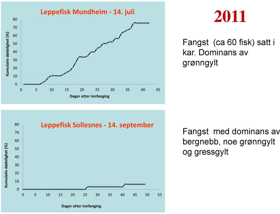 Dominans av grønngylt 10 0 0 5 10 15 20 25 30 35 40 45 Dager etter innfanging 80 70 60 50 40