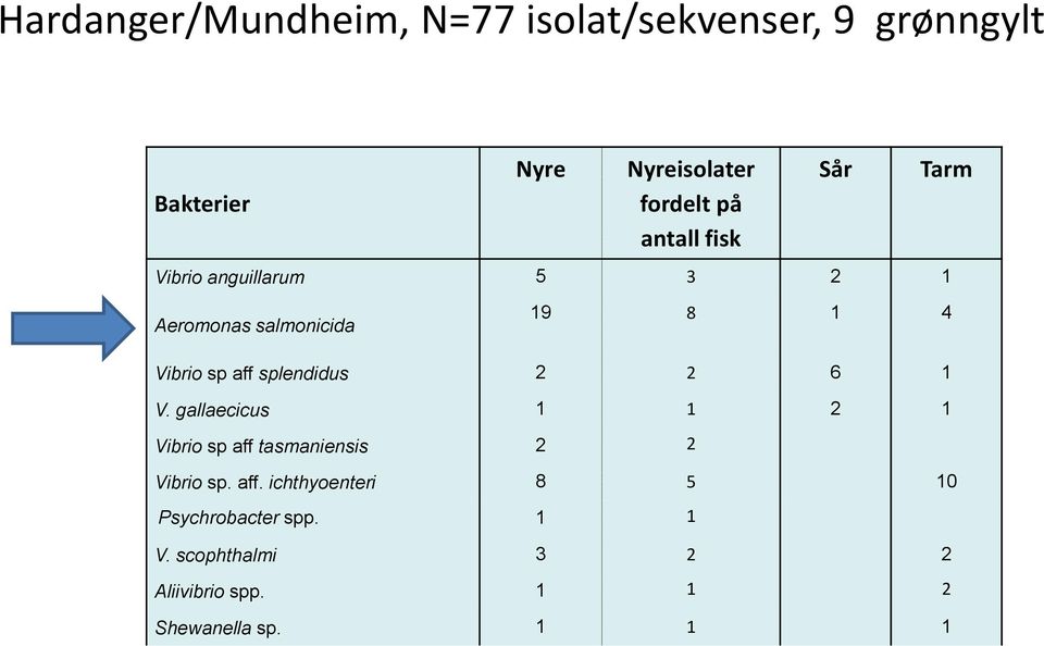 splendidus 2 2 6 1 V. gallaecicus 1 1 2 1 Vibrio sp aff tasmaniensis 2 2 Vibrio sp. aff. ichthyoenteri 8 5 10 Psychrobacter spp.