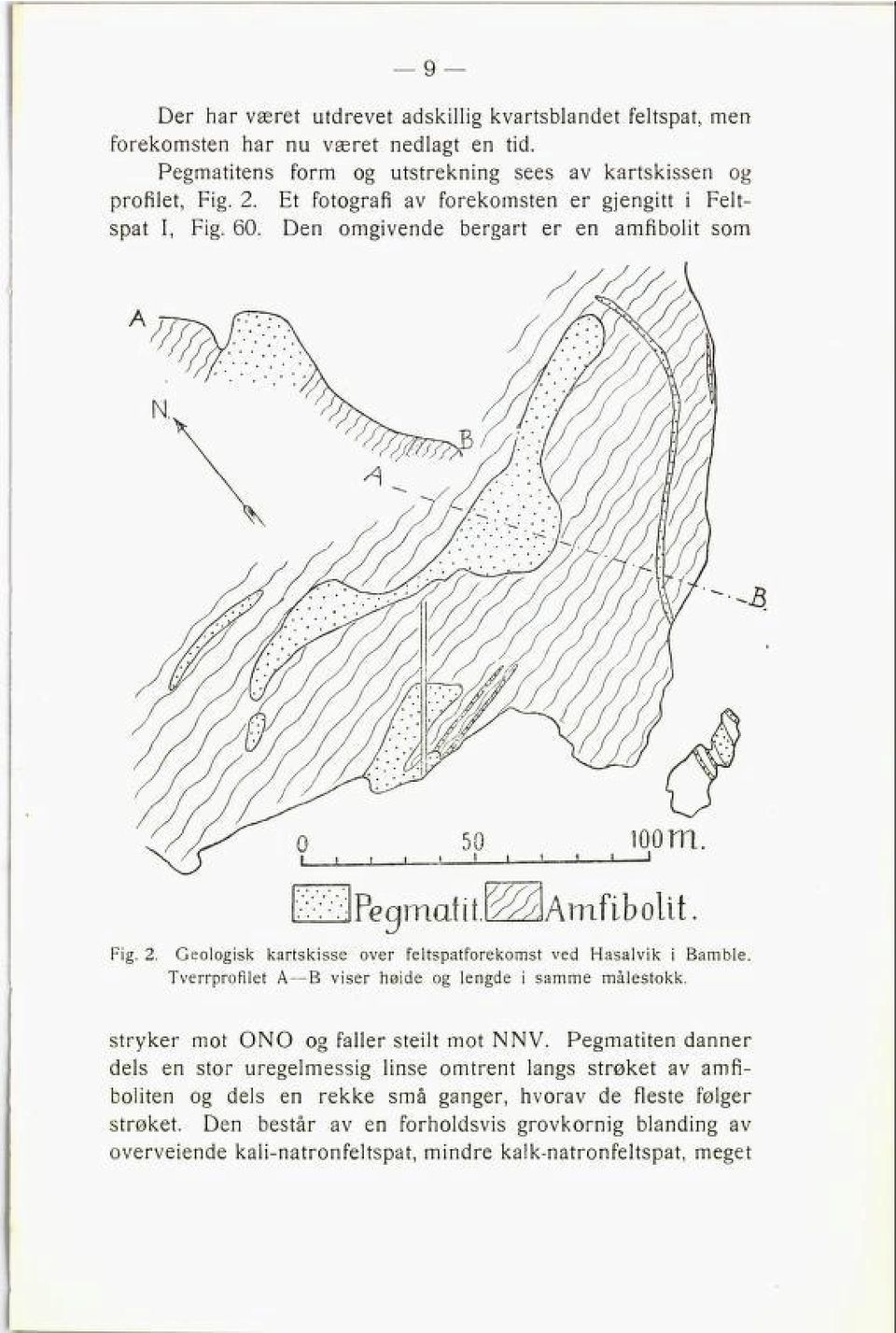 Geologisk kartskisse over feltspatforekomst ved Hasalvik i Bamble. Tverrprofilet A B viser høide og lengde i samme målestokk. stryker mot ONO og faller steilt mot NNV.