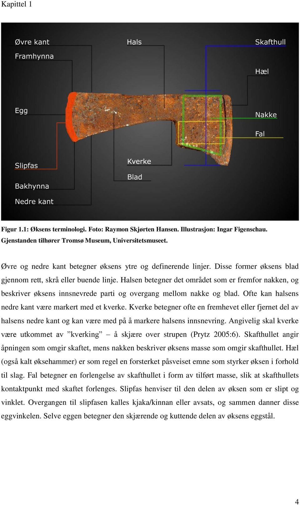 Halsen betegner det området som er fremfor nakken, og beskriver øksens innsnevrede parti og overgang mellom nakke og blad. Ofte kan halsens nedre kant være markert med et kverke.