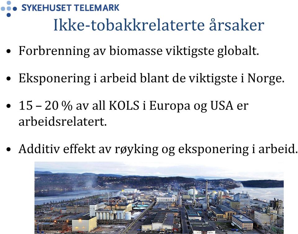 Eksponering i arbeid blant de viktigste i Norge.