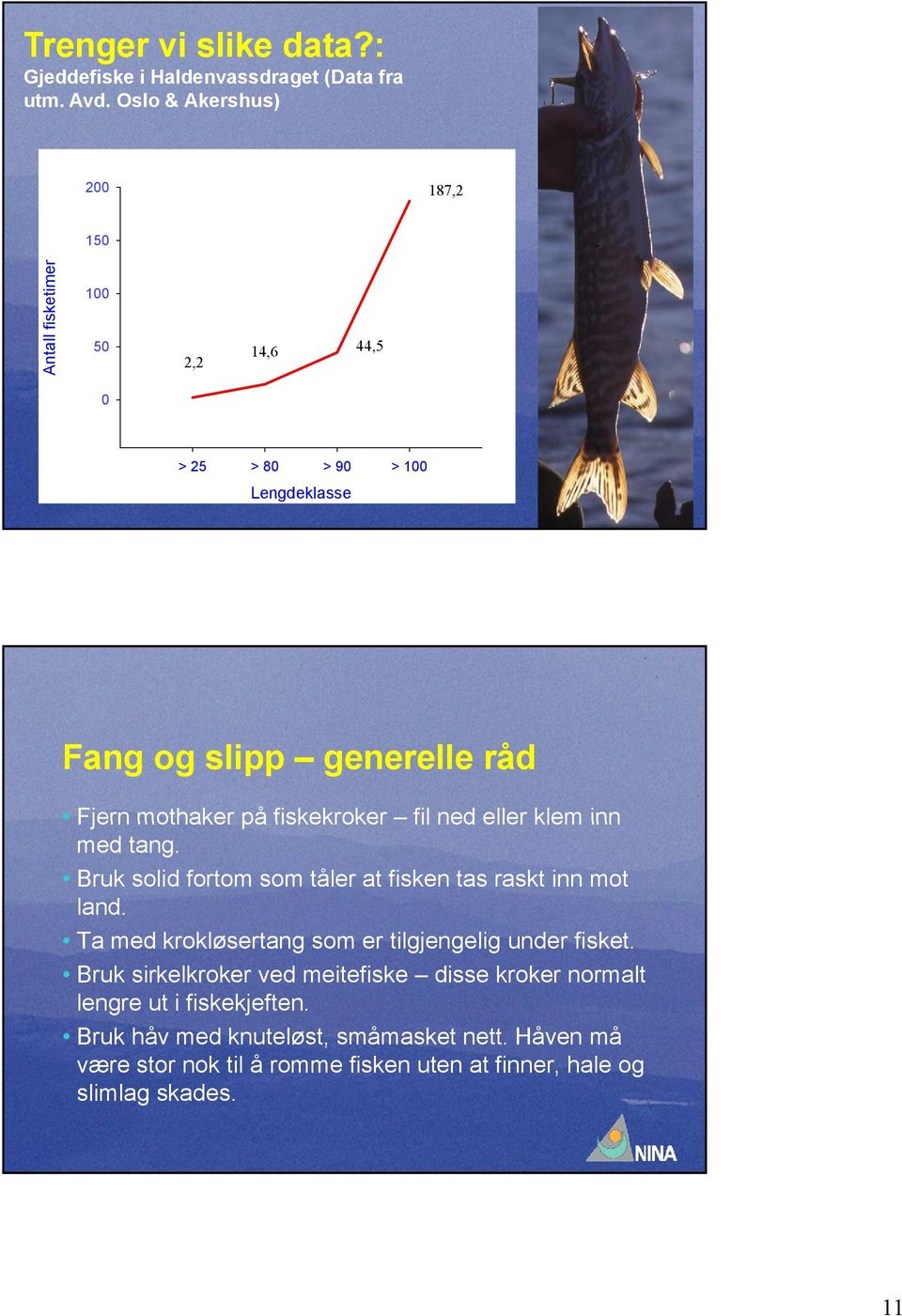 på fiskekroker fil ned eller klem inn med tang. Bruk solid fortom som tåler at fisken tas raskt inn mot land.